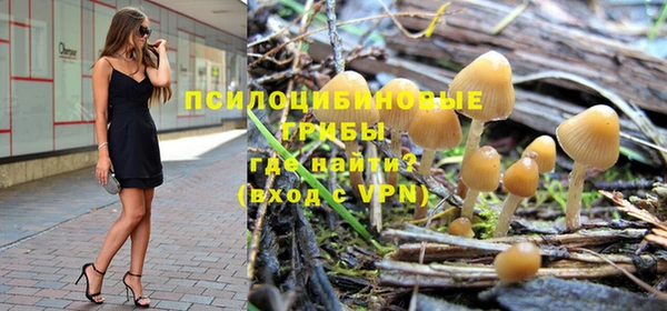 спиды Абдулино