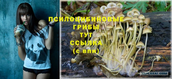 спиды Абдулино