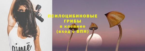 твердый Алзамай